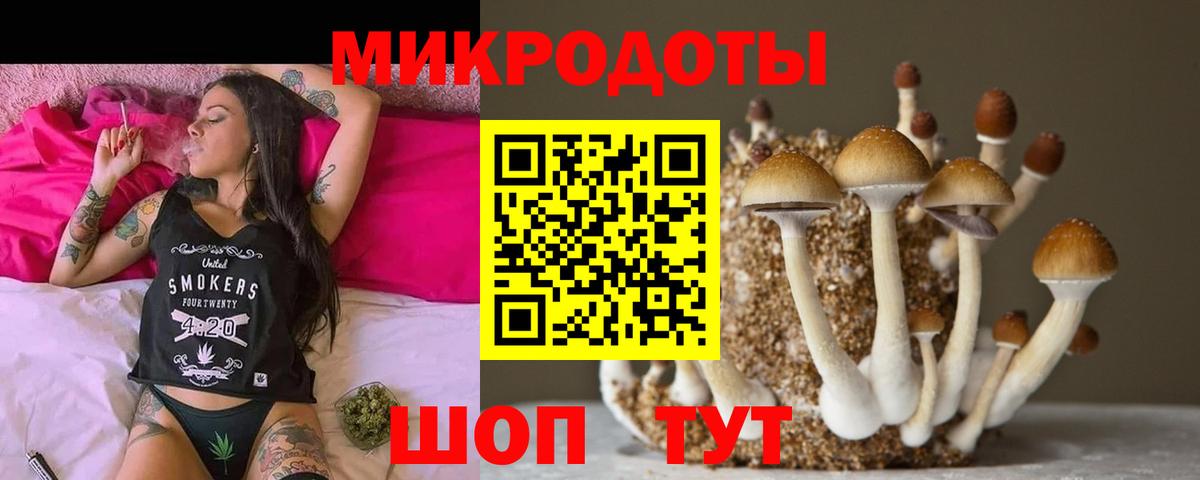 Галлюциногенные грибы Magic Shrooms  Вход с VPN  Евпатория 