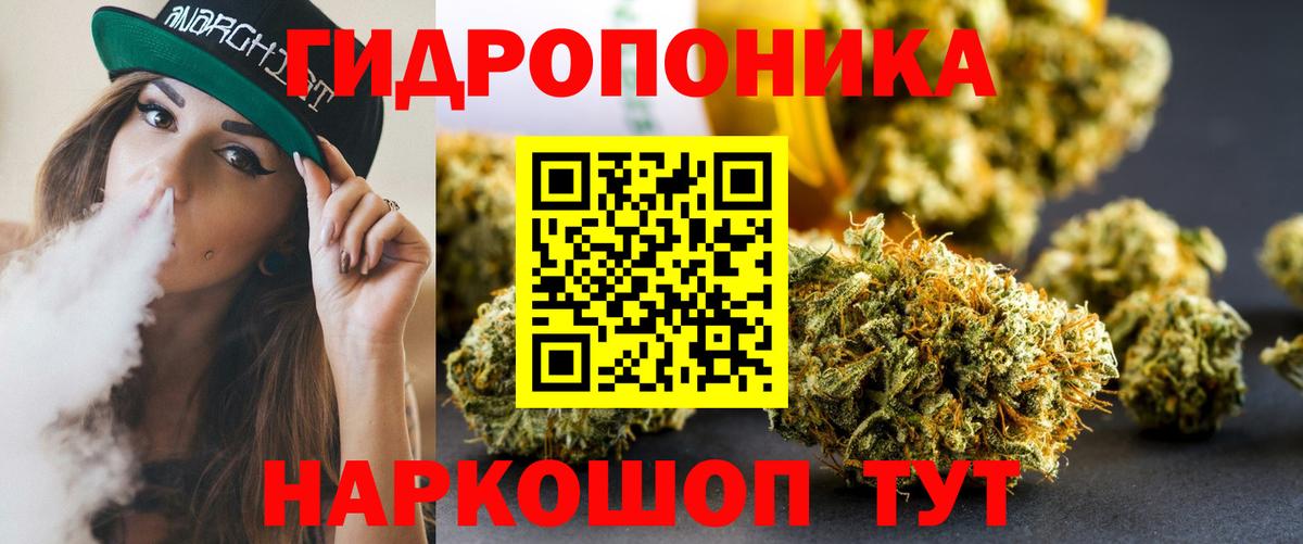 Бошки марихуана марихуана Евпатория